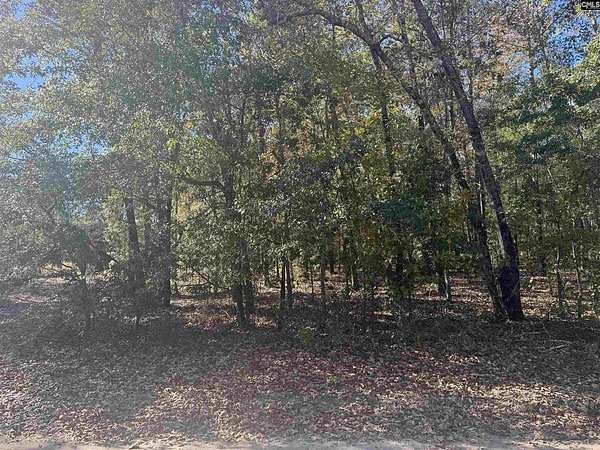 1.34 Acres of Residential Land for Sale in Bamberg, South Carolina