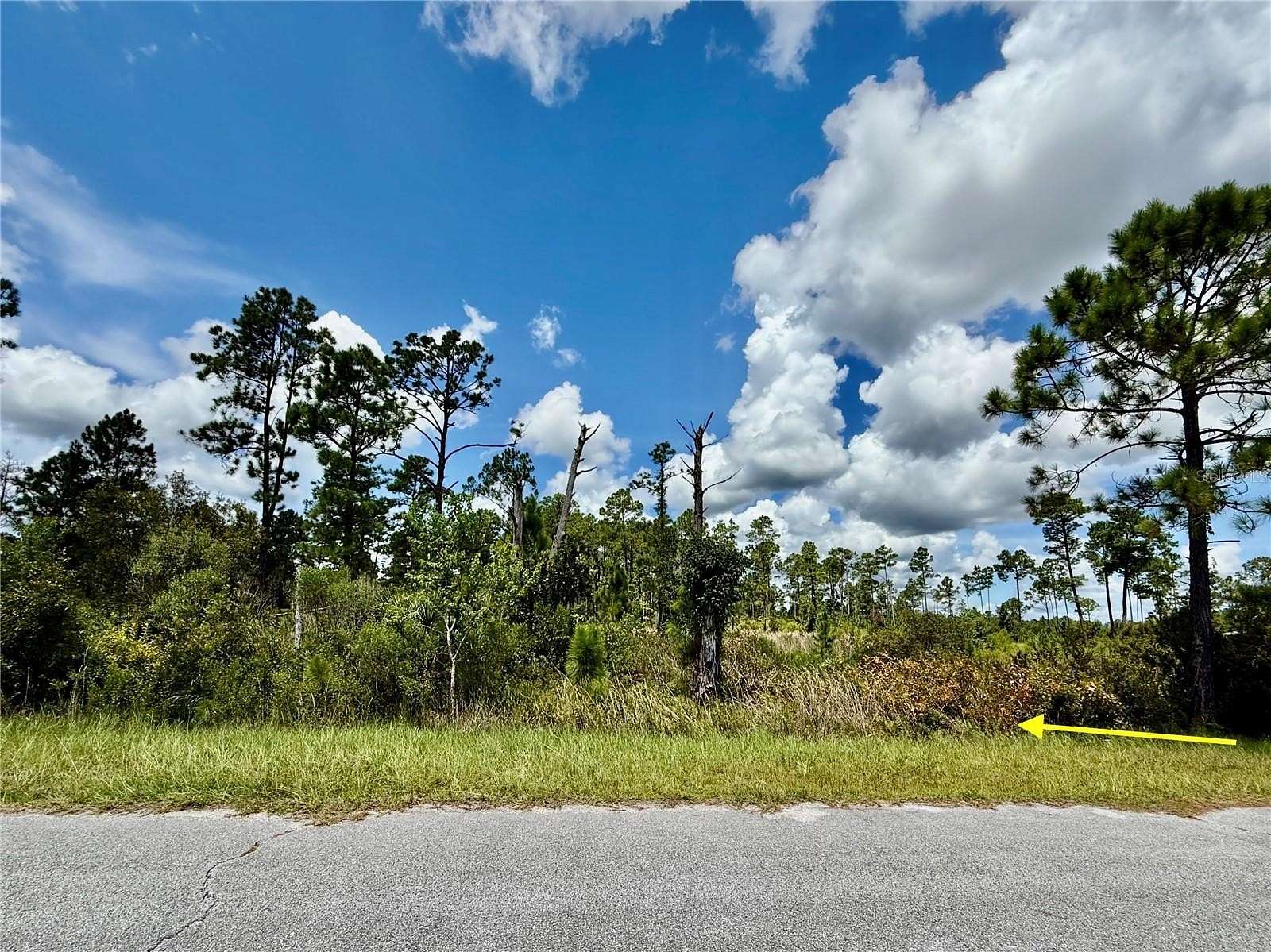 1 Acre of Residential Land for Sale in Eustis, Florida