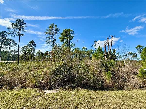 1 Acre of Residential Land for Sale in Eustis, Florida