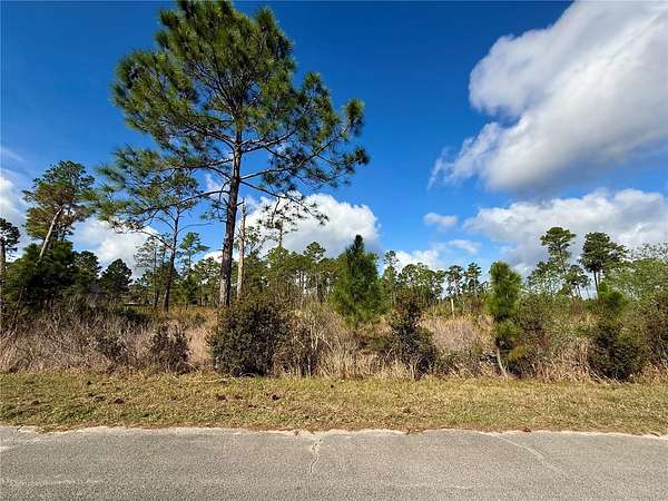 1 Acre of Residential Land for Sale in Eustis, Florida