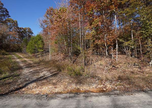 15.5 Acres of Recreational Land for Sale in Dover, Tennessee