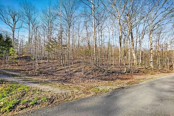 15.5 Acres of Recreational & Residential Land for Sale in Dover, Tennessee