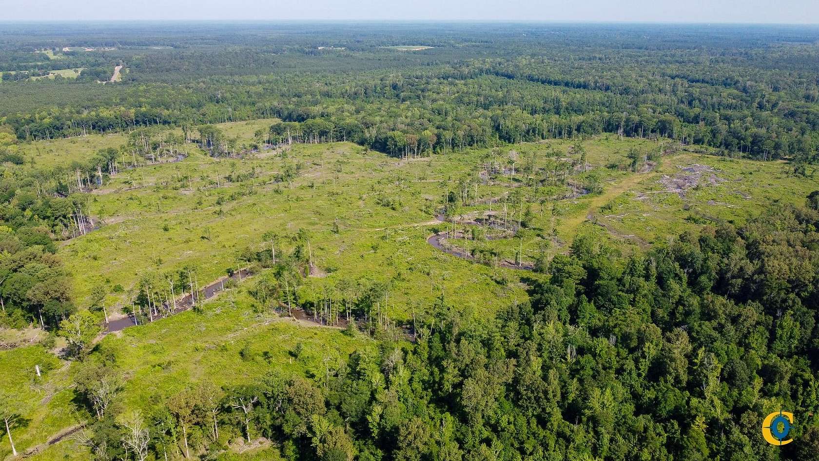 120 Acres of Recreational Land for Sale in Hermitage, Arkansas