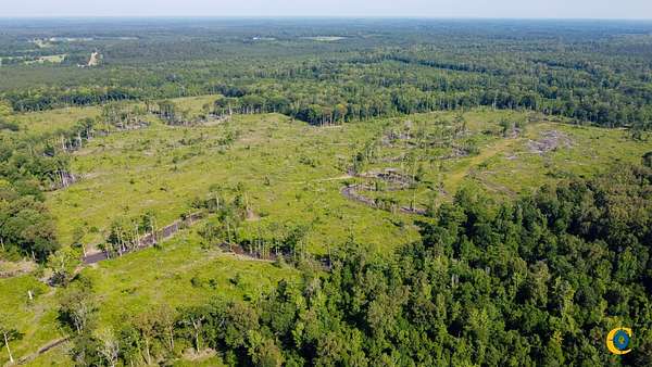 120 Acres of Recreational Land for Sale in Hermitage, Arkansas