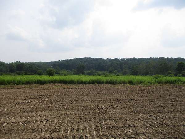 122 Acres of Land for Sale in Andover, New York