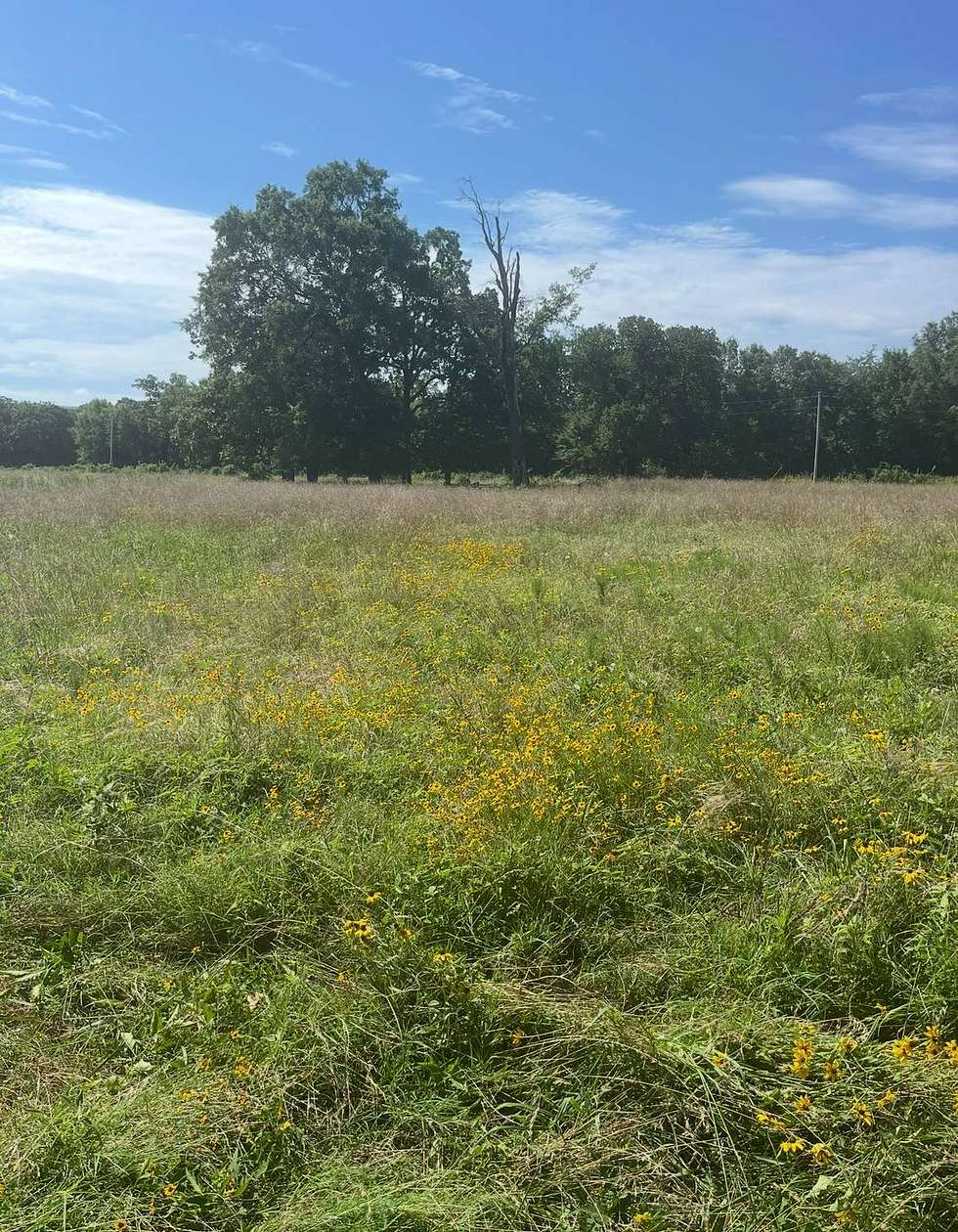 Land for Sale in Howe, Oklahoma