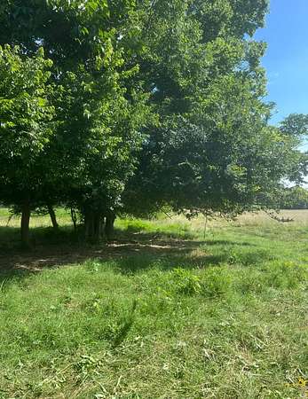 Land for Sale in Howe, Oklahoma