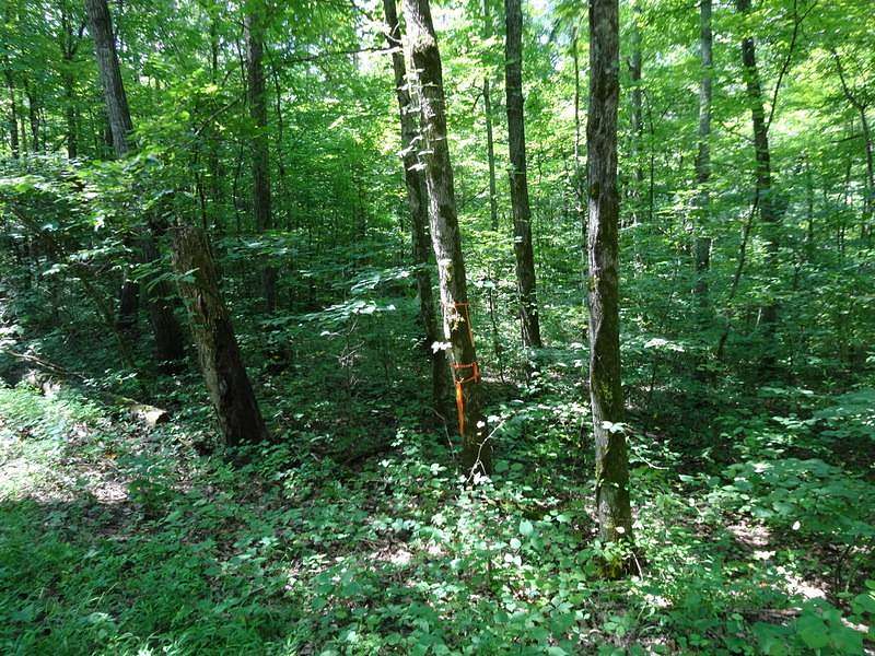 40 Acres of Recreational Land for Sale in Saint Croix, Indiana