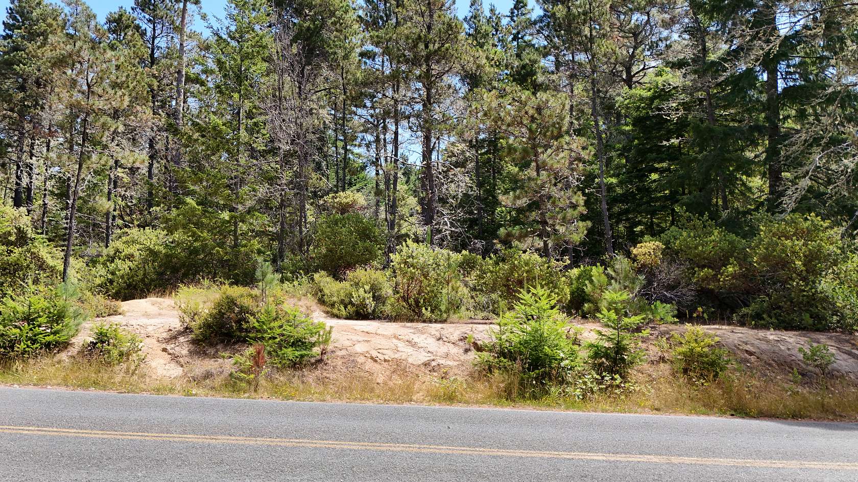11.3 Acres of Land for Sale in Gualala, California