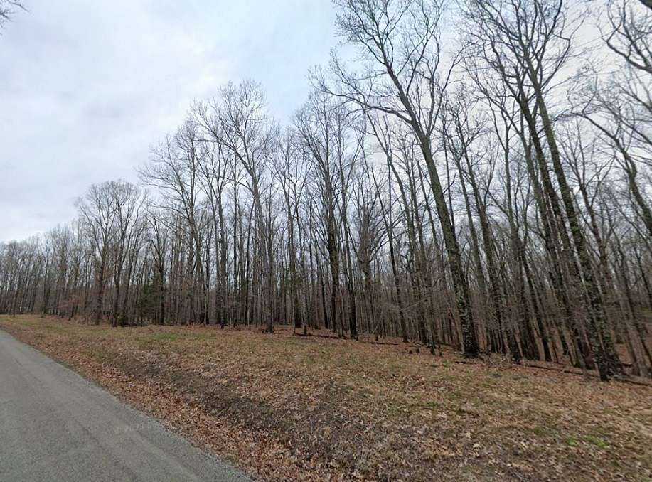 20 Acres of Land for Sale in Mason, Tennessee