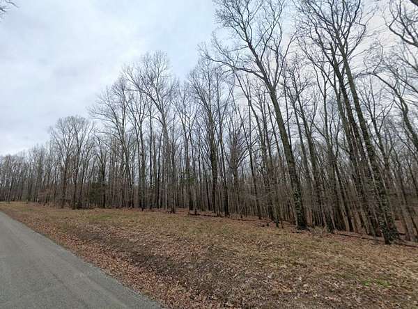 20 Acres of Land for Sale in Mason, Tennessee