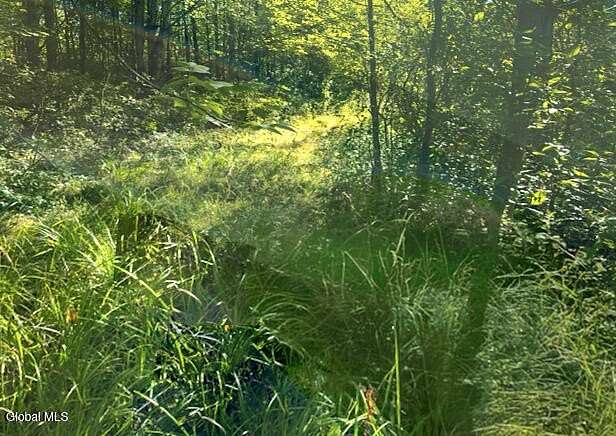 38.7 Acres of Recreational Land for Sale in Fultonville, New York