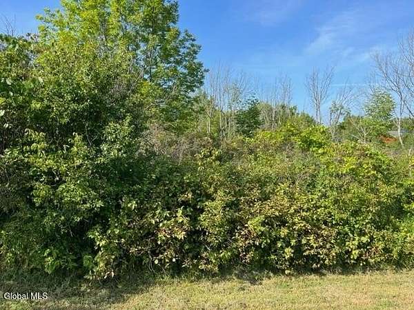 38.7 Acres of Recreational Land for Sale in Fultonville, New York