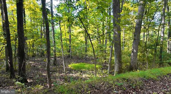 3 Acres of Residential Land for Sale in Augusta, West Virginia