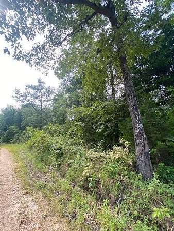 3.55 Acres of Land for Sale in Dora, Missouri