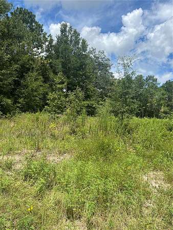 0.24 Acres of Residential Land for Sale in Summerfield, Florida