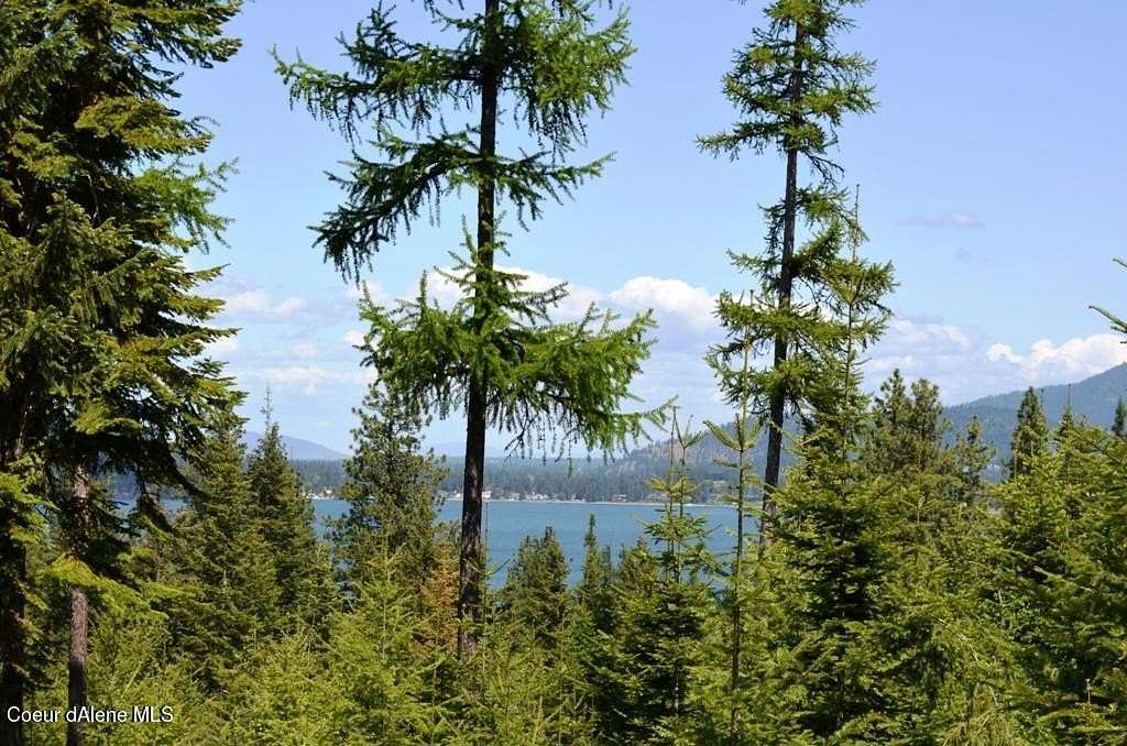 1 Acre of Residential Land for Sale in Harrison, Idaho