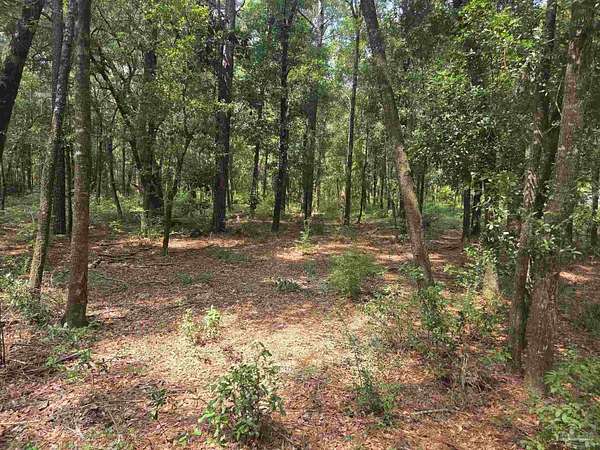 0.91 Acres of Residential Land for Sale in Milton, Florida