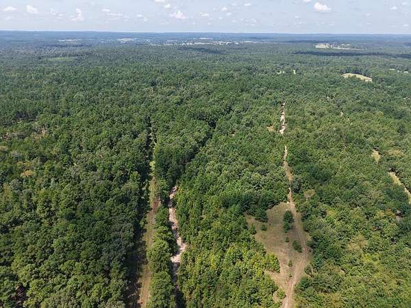 12.8 Acres of Recreational Land for Sale in Palestine, Texas