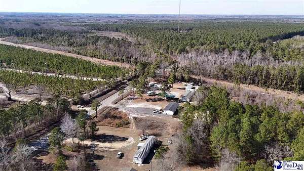 1 Acre of Residential Land for Sale in Dillon, South Carolina