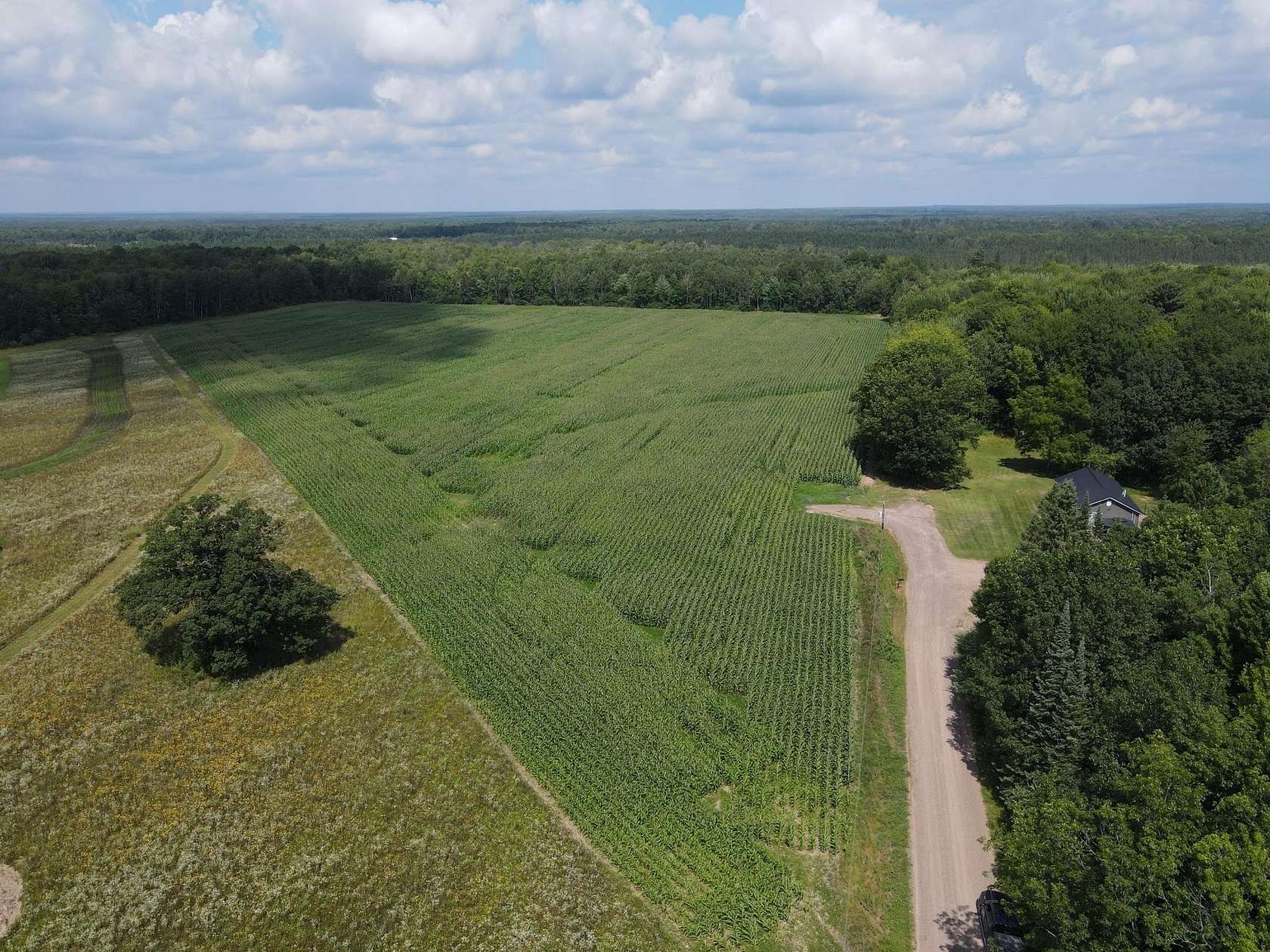 60.7 Acres of Land for Sale in Ogema, Wisconsin