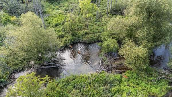 1.85 Acres of Residential Land for Sale in Pine River, Wisconsin