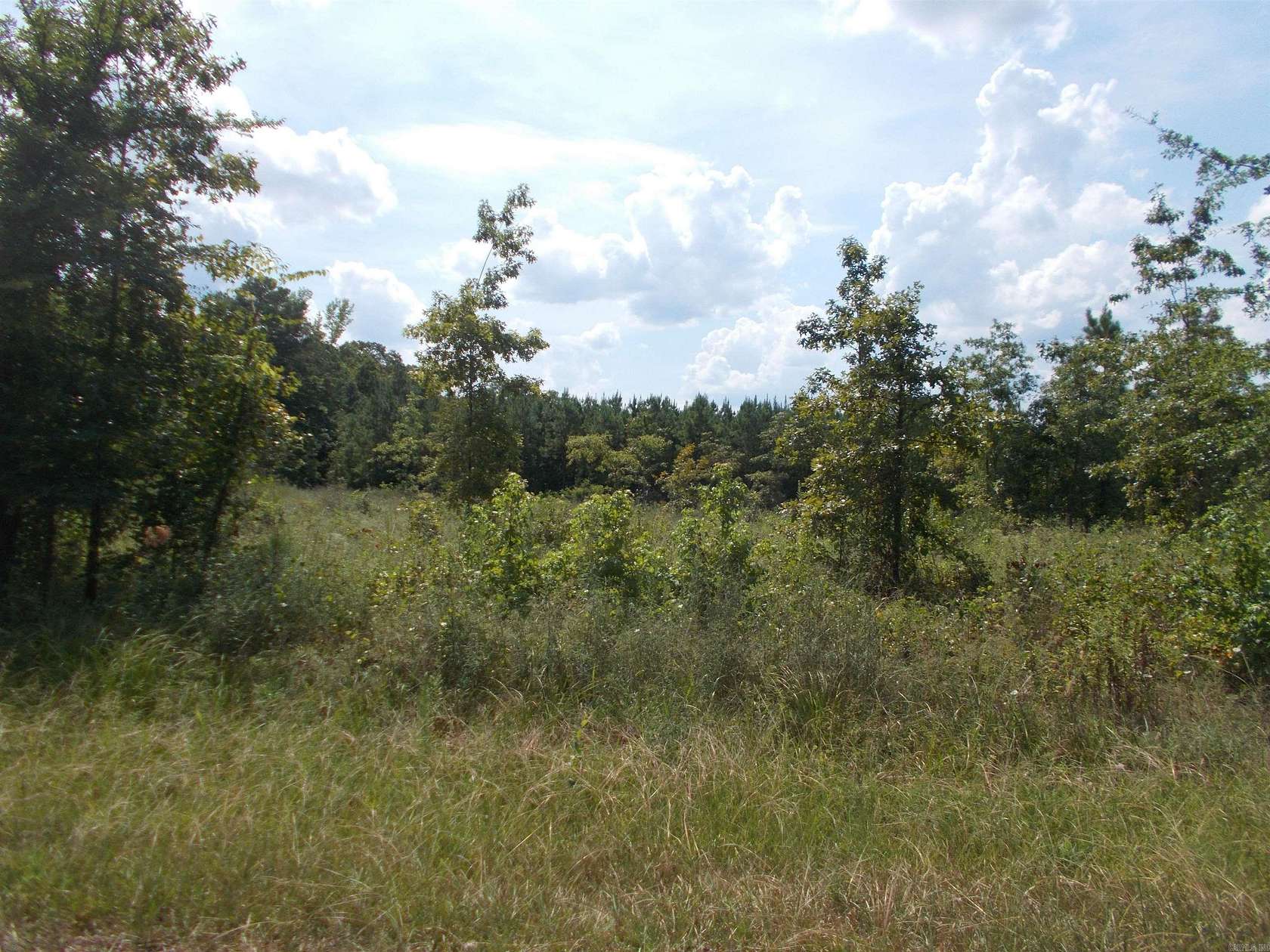 41.8 Acres of Land for Sale in Sheridan, Arkansas