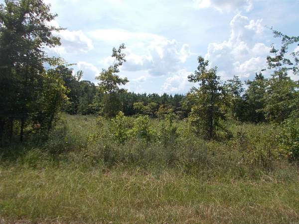 41.8 Acres of Recreational Land for Sale in Sheridan, Arkansas