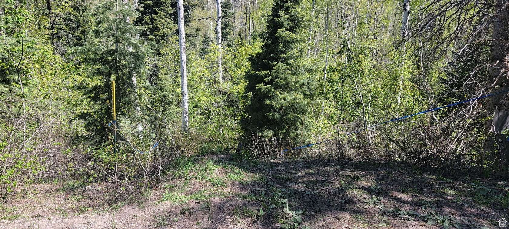 0.56 Acres of Residential Land for Sale in Mount Pleasant, Utah