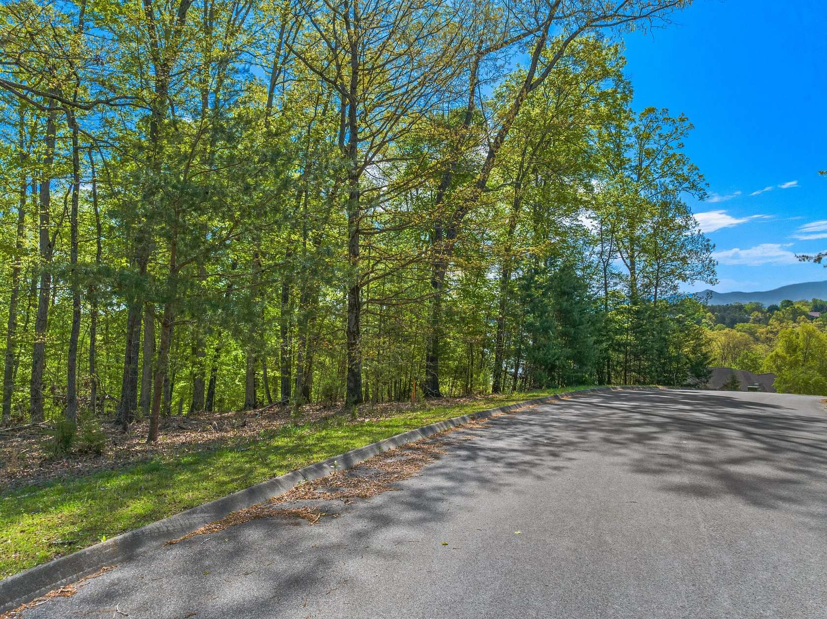 1 Acre of Residential Land for Sale in Dandridge, Tennessee