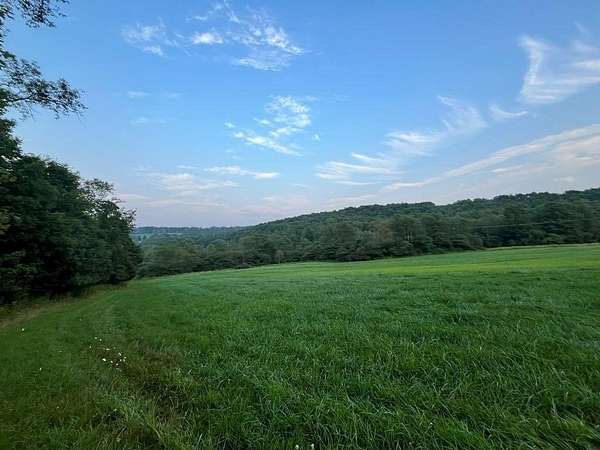 135 Acres of Land for Sale in Ulysses, Pennsylvania