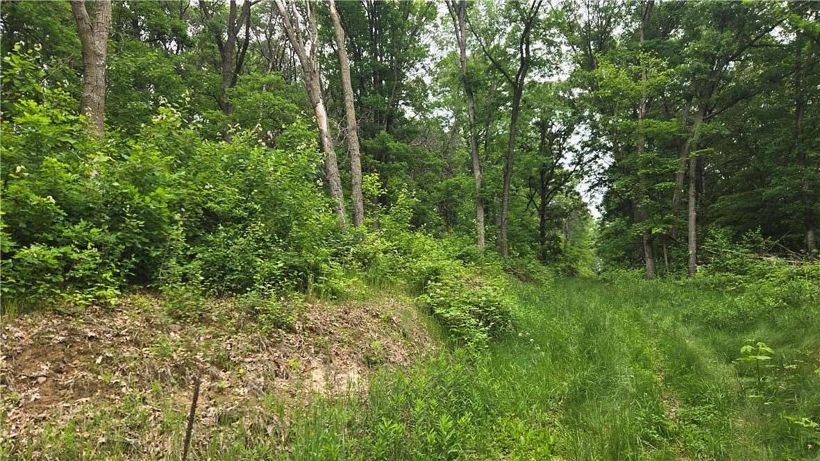 40 Acres of Recreational Land for Sale in Colfax, Wisconsin