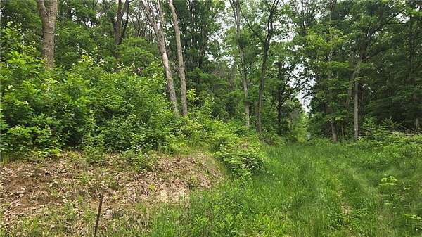 40 Acres of Recreational Land for Sale in Colfax, Wisconsin