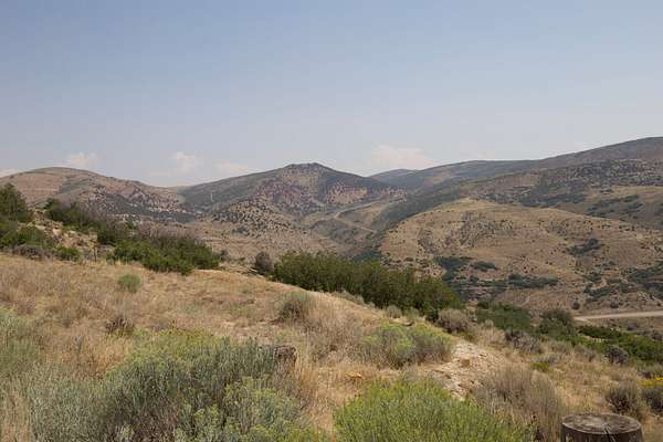 42 Acres of Recreational Land for Sale in Hamilton, Colorado