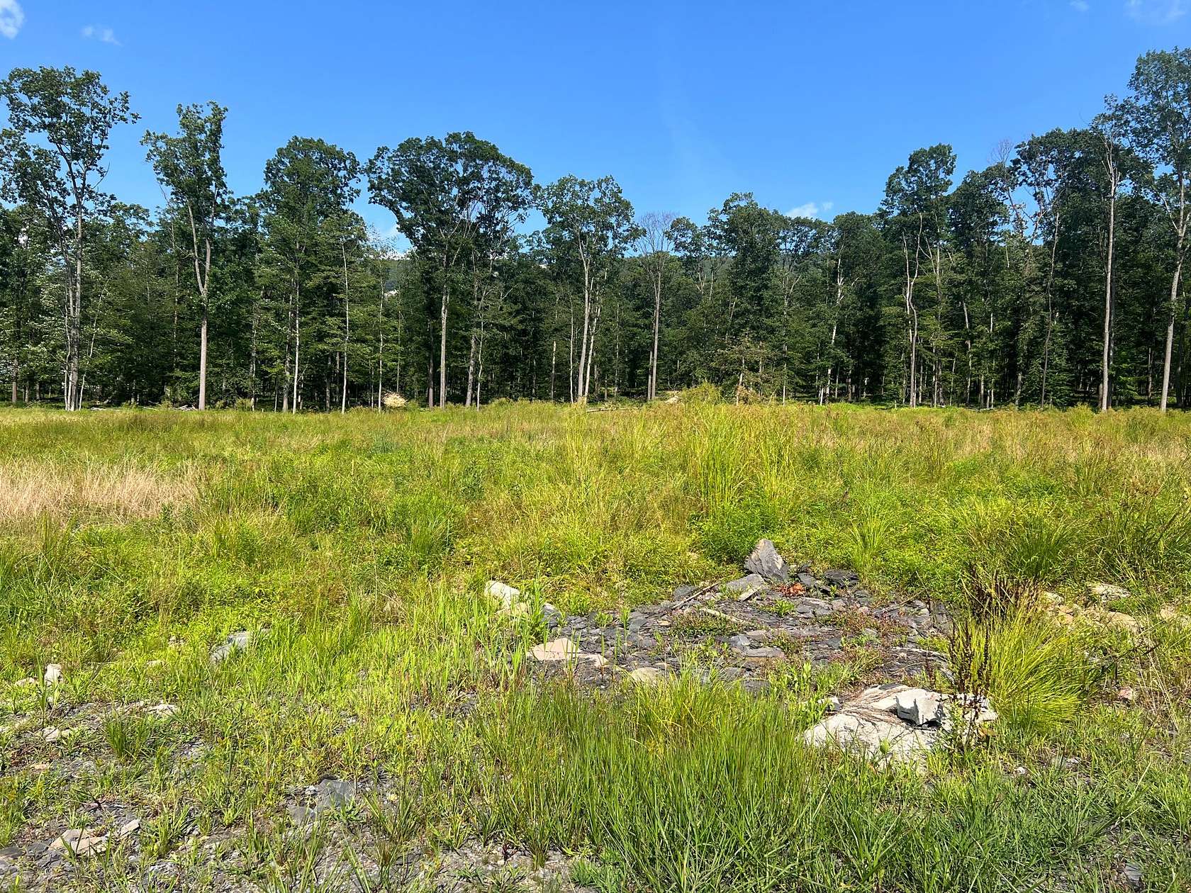 79.7 Acres of Recreational Land for Sale in Altoona, Pennsylvania