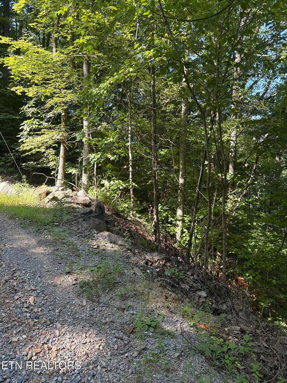 4.18 Acres of Residential Land for Sale in Sevierville, Tennessee