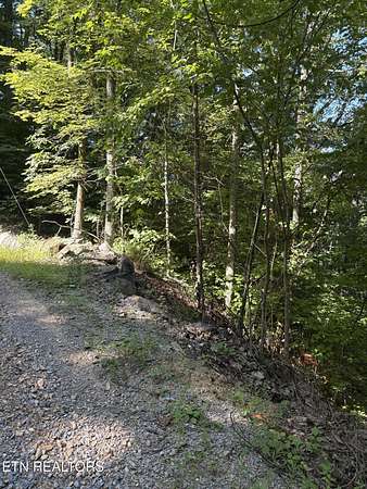 4.18 Acres of Residential Land for Sale in Sevierville, Tennessee