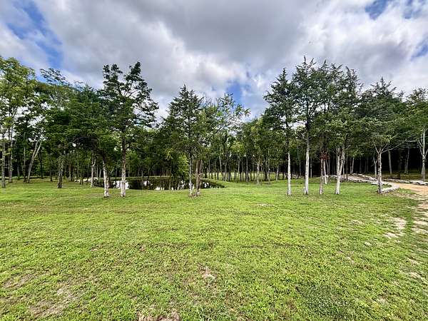 121 Acres of Land for Sale in Eagleville, Tennessee