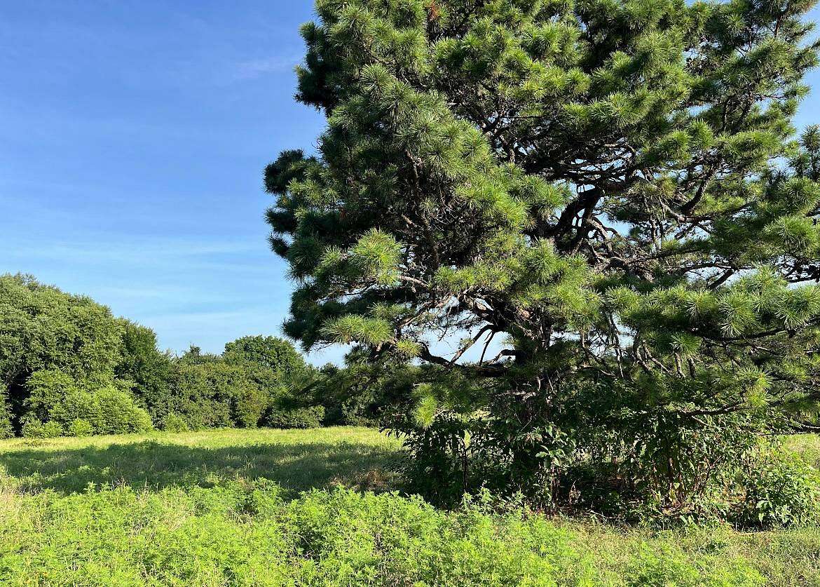 10 Acres of Recreational Land for Sale in Whitefield, Oklahoma