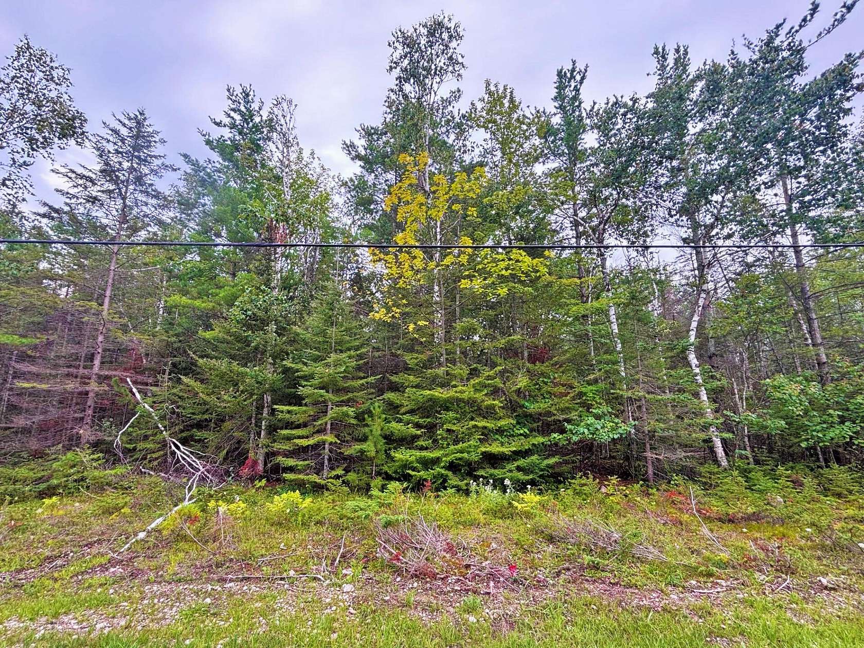 0.36 Acres of Residential Land for Sale in Presque Isle, Michigan