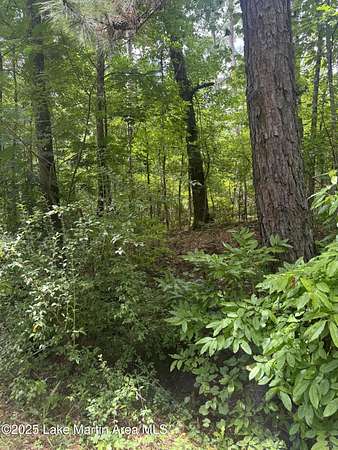 58 Acres of Land for Sale in Alexander City, Alabama