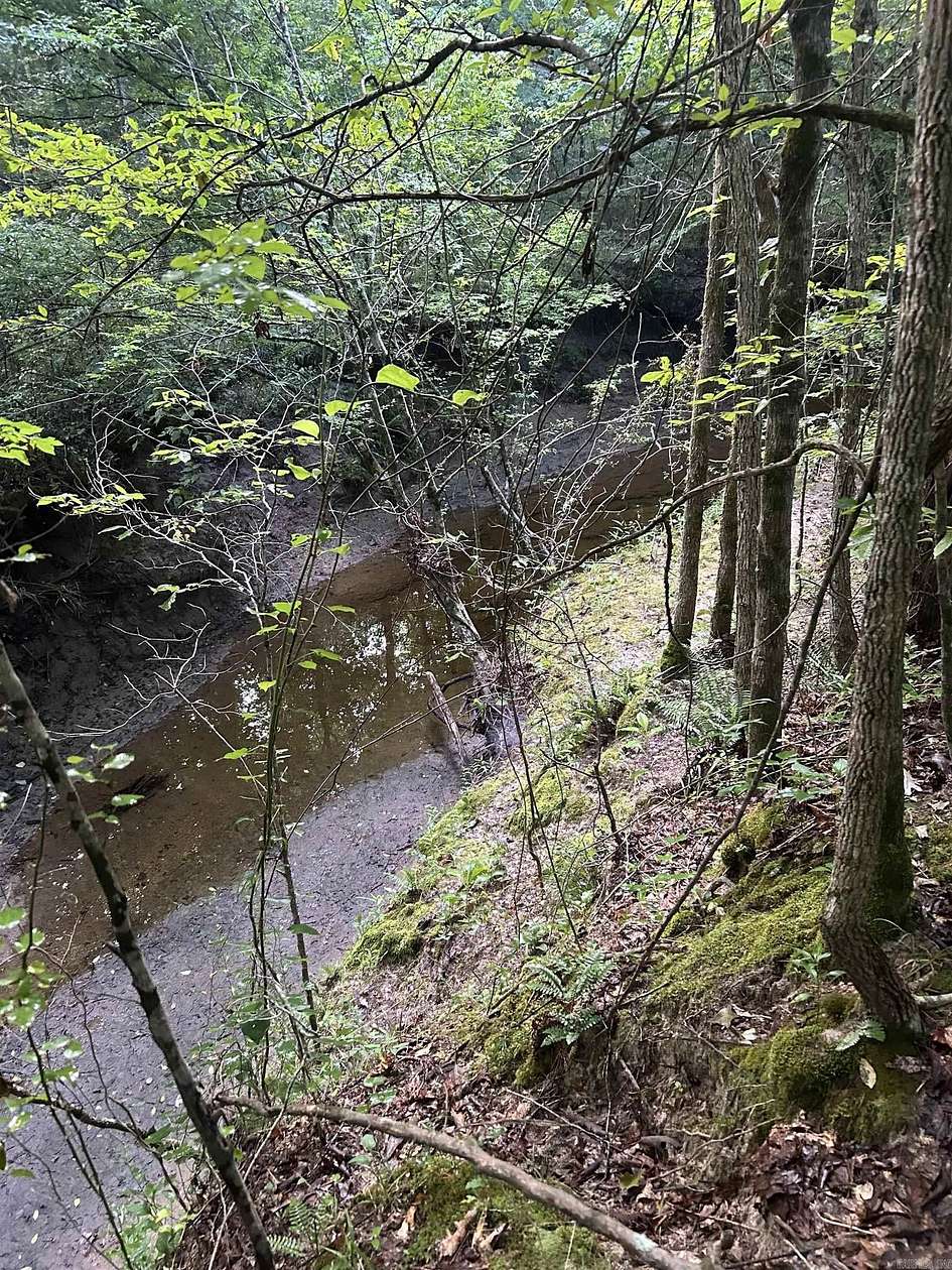 60 Acres of Recreational Land for Sale in Washington, Arkansas