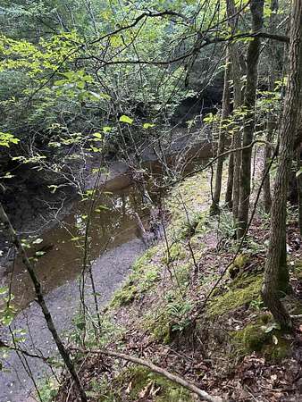 60 Acres of Recreational Land for Sale in Washington, Arkansas