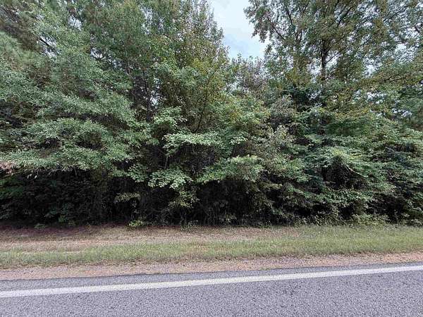 17.4 Acres of Land for Sale in Nashville, Arkansas