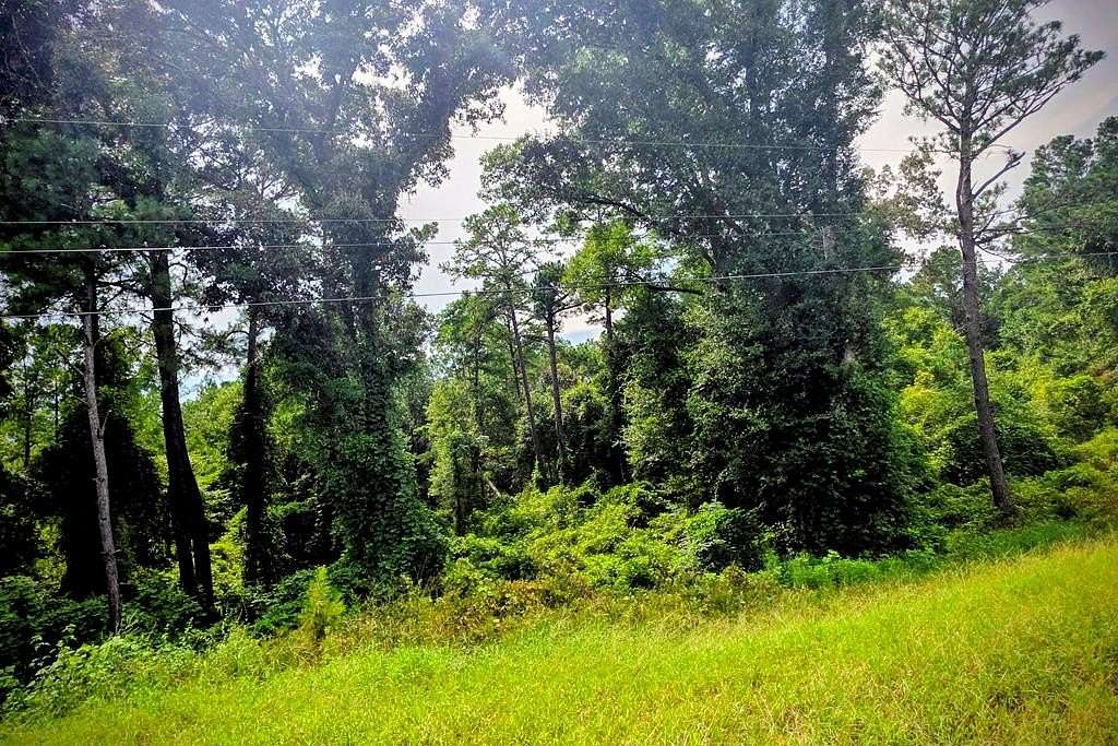 Residential Land for Sale in Newville, Alabama