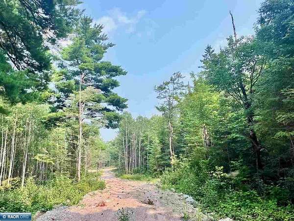 4.68 Acres of Residential Land for Sale in Cook, Minnesota