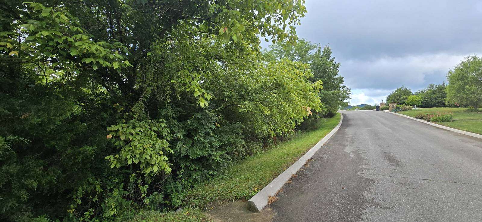 0.5 Acres of Residential Land for Sale in Tazewell, Tennessee