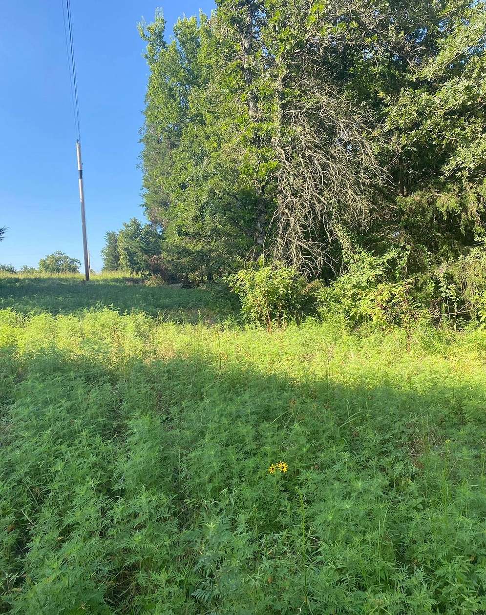 6 Acres of Land for Sale in Stigler, Oklahoma