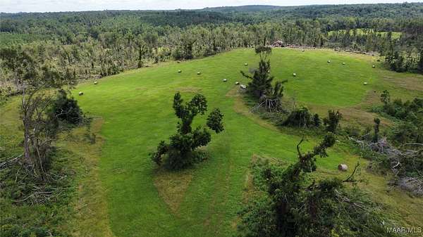 100 Acres of Land for Sale in Troy, Alabama