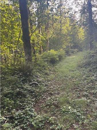 3.3 Acres of Land for Sale in Washougal, Washington